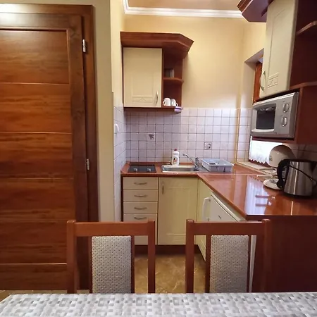 Nefelejcs Fagyizó és Kistolmacs