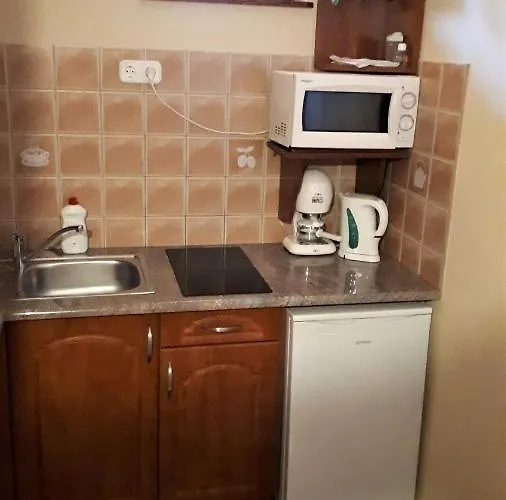 Nefelejcs Fagyizo Es Apartmanhaz Apartament Kistolmacs